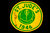 Gold and Green 1946 St. Jude's Volleyball Patch with pin