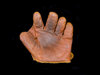 Early Century Victor Children's Single-Web Fielder's Glove