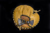 1920's 30s Buckle-back Laced Cowhide Catchers Mitt