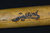 Early Turn of The Century Spalding Gold Medal Bat